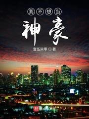 我不想当神豪封面
