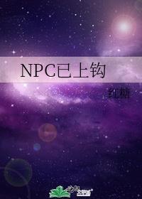 NPC已上钩封面