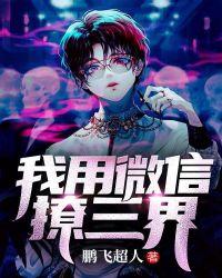 我用微信撩三界封面