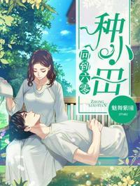 回到六零种小田封面