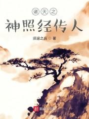 诸天之神照经传人封面