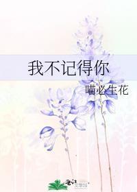 我不记得你封面