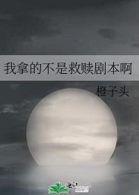 我拿的不是救赎剧本啊封面