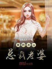 我的冰山总裁老婆叶雄杨心怡封面
