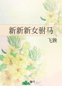 新新新女驸马封面