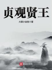 贞观贤王封面