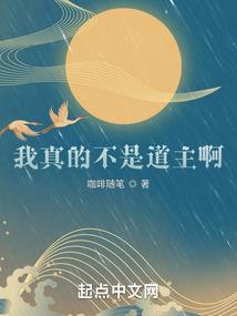 我真的不是道主啊！封面