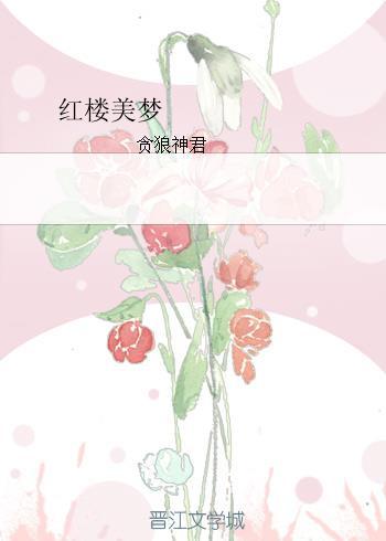 红楼美梦封面