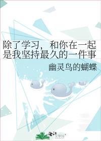 除了学习，和你在一起是我坚持最久的一件事封面
