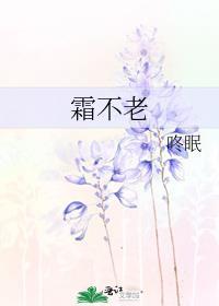 霜不老封面