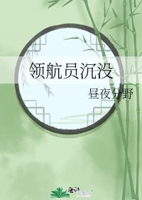 领航员沈没封面