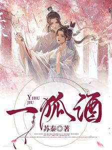 一狐酒封面