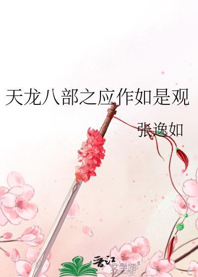 天龙八部之应作如是观封面