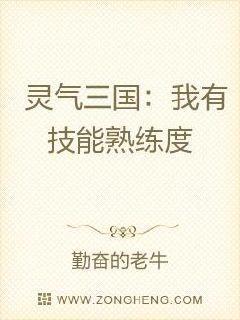 三国：我有技能熟练度封面