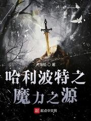 哈利波特之魔力之源封面
