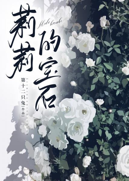 莉莉的宝石封面