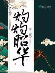 灼灼昭华封面