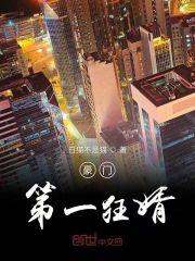 豪门第一狂婿封面