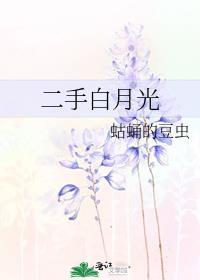 二手白月光封面