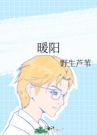暖阳封面