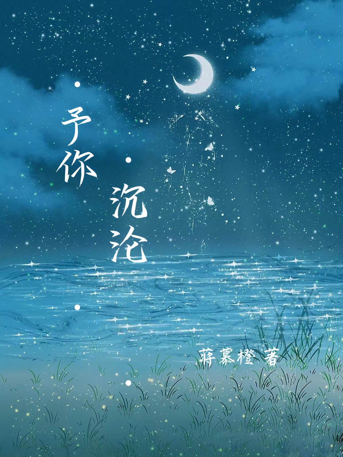 予你沈沦封面