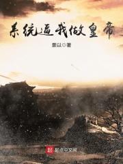 萧锐穿越大夏国七王子封面