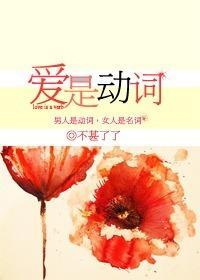 爱是动词封面