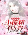 薄爷家的小撩精有点野封面