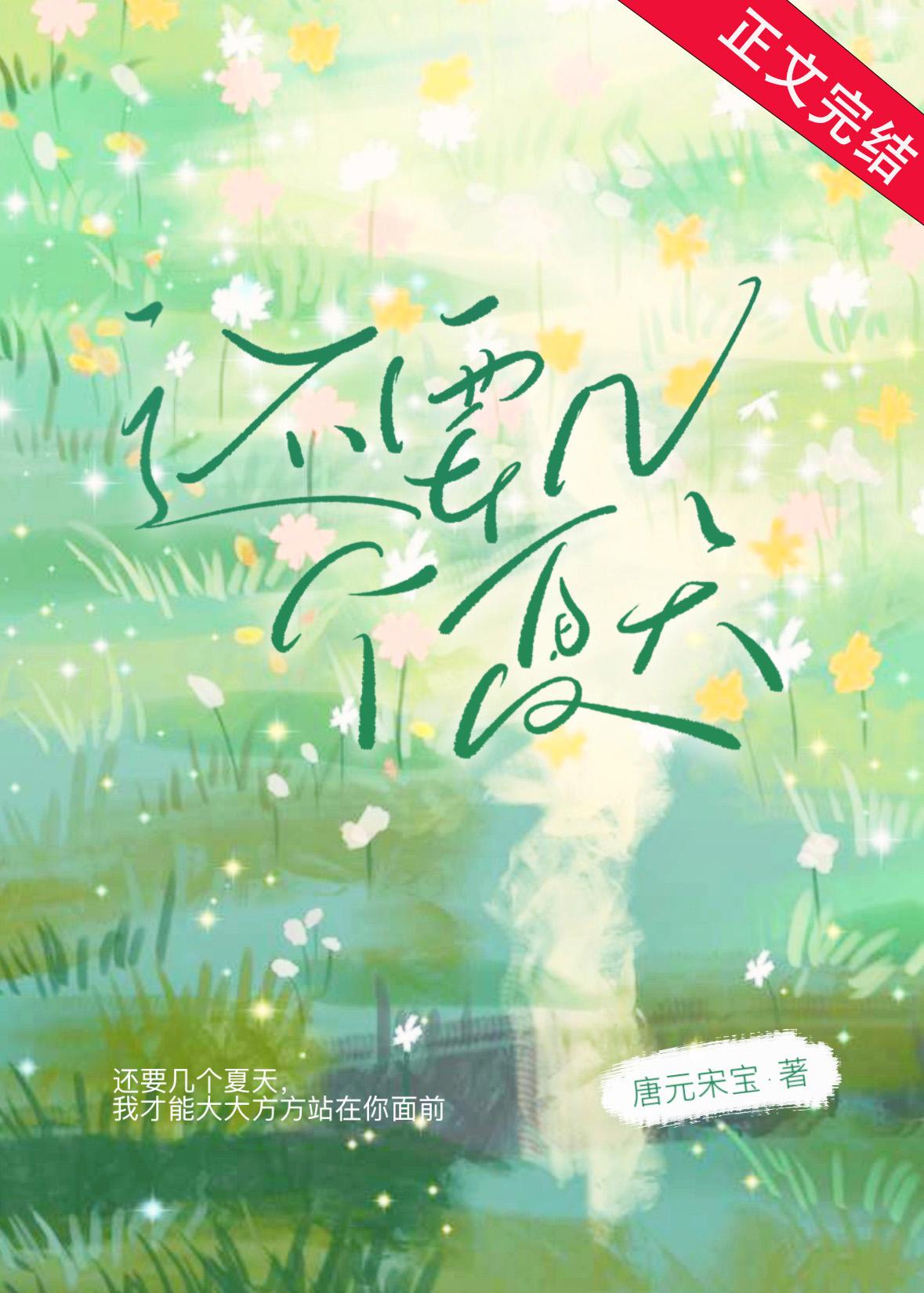 还要几个夏天封面