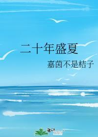 二十年盛夏封面