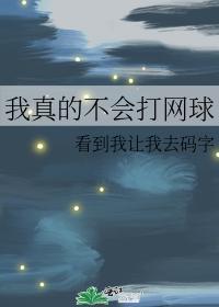 ［网王］我真的不会打网球封面