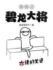 海贼之碧龙大将封面