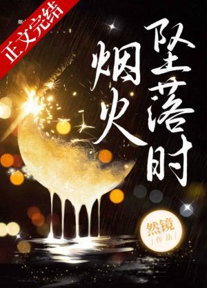 烟火坠落时封面