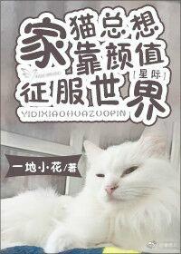 爆宠狂妻：神医五小姐封面
