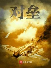 对垒封面