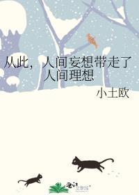 从此,人间妄想带走了人间理想封面