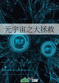 元宇宙之大拯救封面