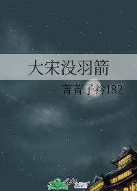 大宋没羽箭封面