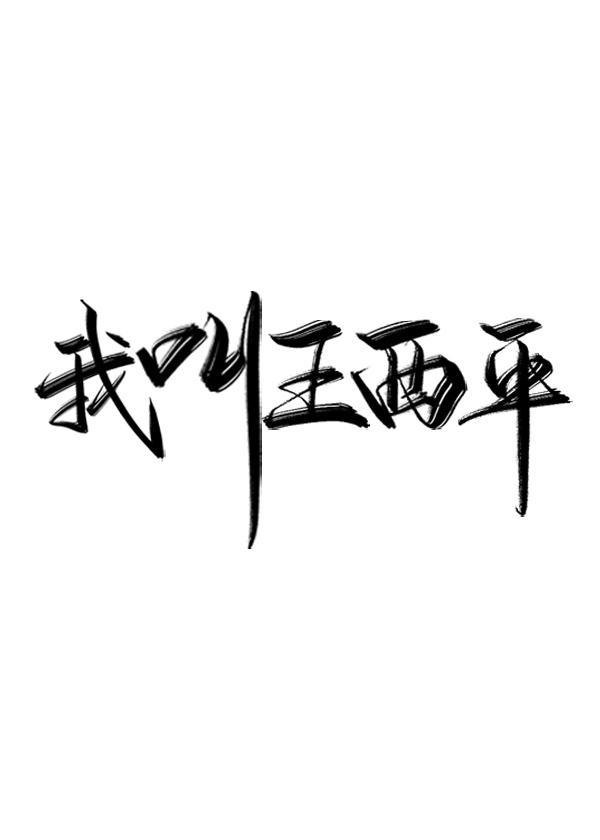 我叫王西平封面