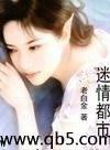 迷情都市封面