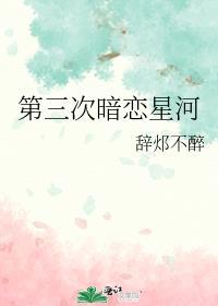 第三次暗恋星河封面