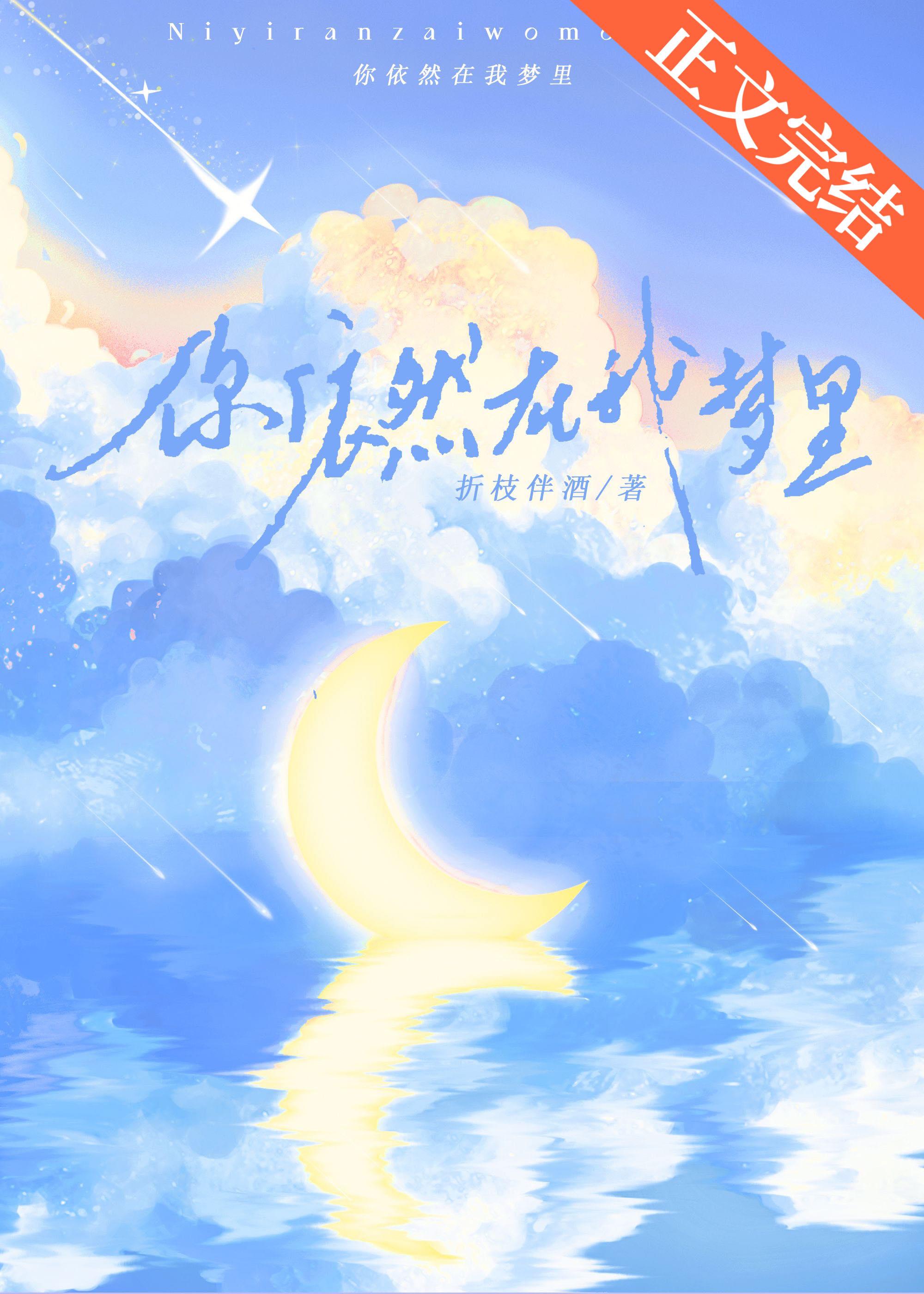 你依然在我梦裏封面