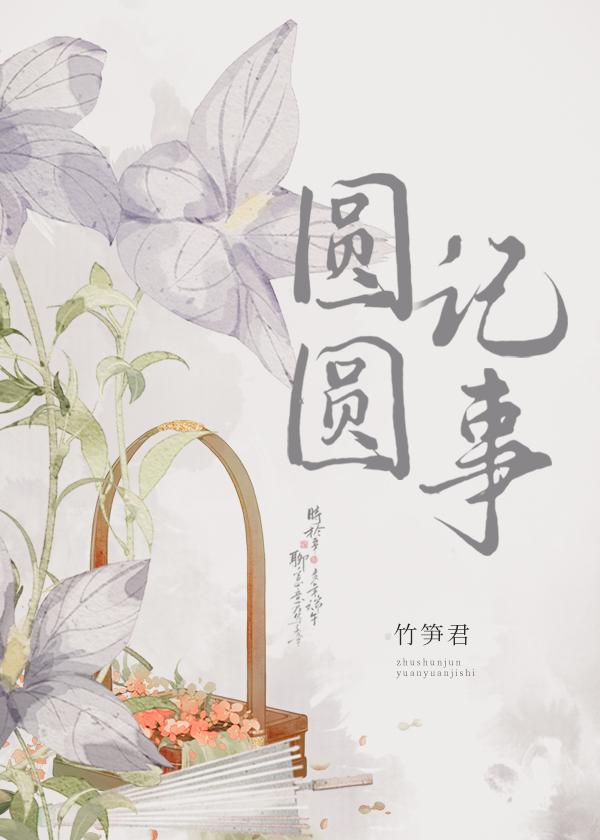 圆圆记事封面