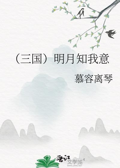 （三国）明月知我意封面