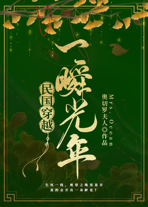 民国穿越一瞬光年封面