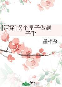 [清穿]拐个皇子做趟子手封面
