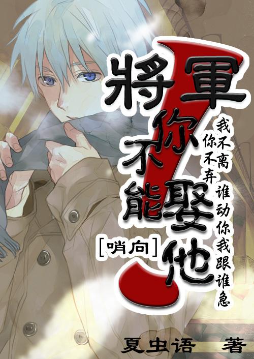 将军，你不能娶他！封面
