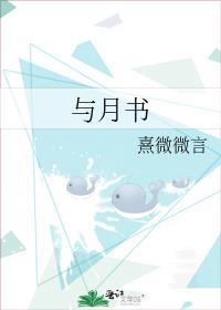 与月书封面