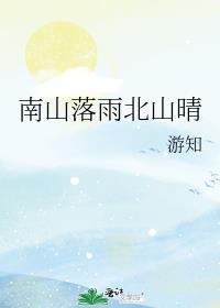 南山落雨北山晴封面