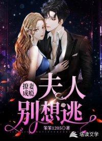 撩妻成瘾，夫人别想逃封面